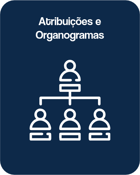 ATRIBUIÇÕES E ORGANOGRAMA - WEET SISTEM