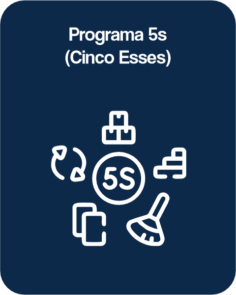 PROGRAMA 5S - WEET SISTEM