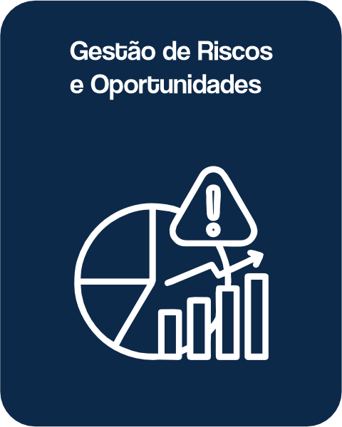 RISCOS E OPORTUNIDADES - WEET SISTEM